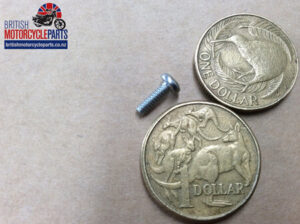 21-1998 Screw - TLS Brake Gauze - Triumph