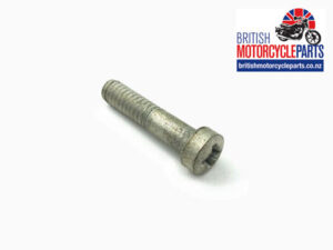 21-2191 Pivot Screw - Master Cylinder Lever