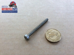 21-2194 Long Screw - Switch Mount - Triumph