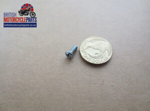 21-2196 21-2335 Caliper Cover Screw - Triumph