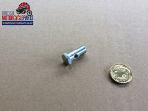 622/078 Banjo Retaining Bolt - 99-0517
